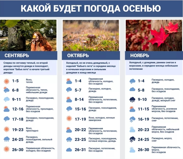 Теплый сентябрь и ранние заморозки: подробный прогноз погоды на осень 2021